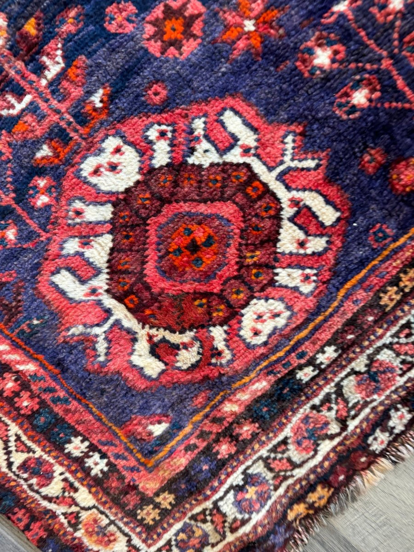 Persian Shiraz Rug | 5' 5
