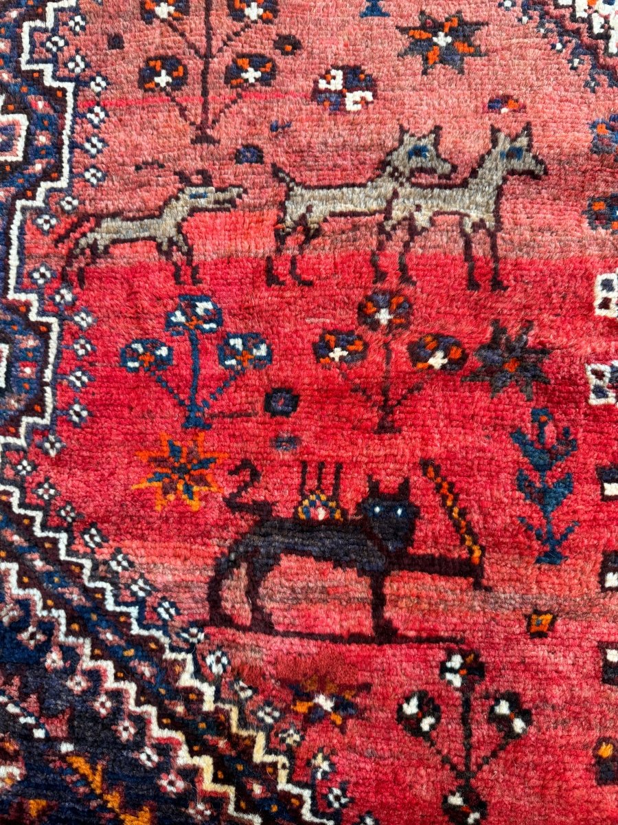 Persian Shiraz Rug | 5' 5