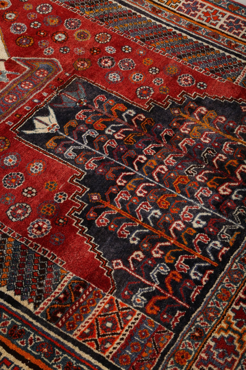 Persian Shiraz Rug | 5' 8
