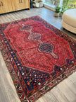Persian Shiraz Rug | 6' 1