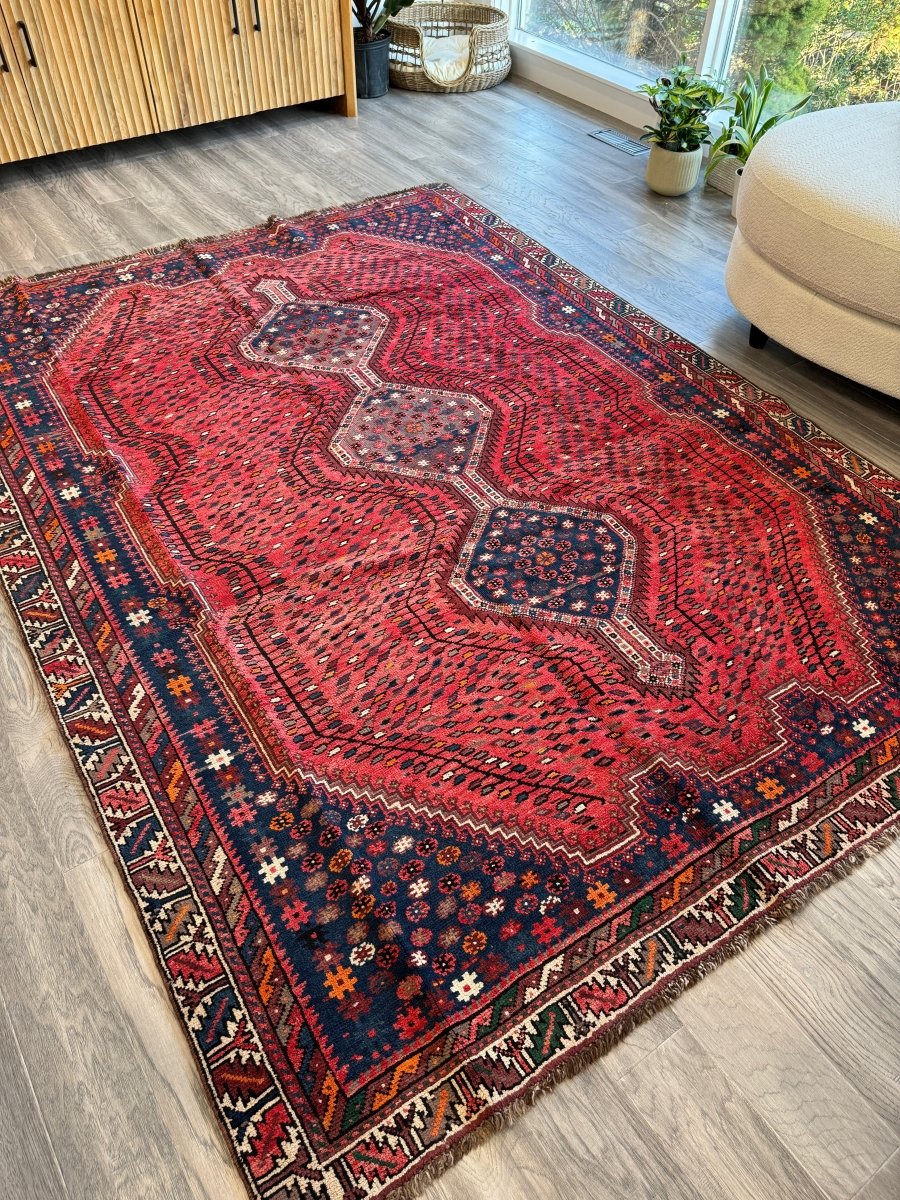 Persian Shiraz Rug | 6' 1