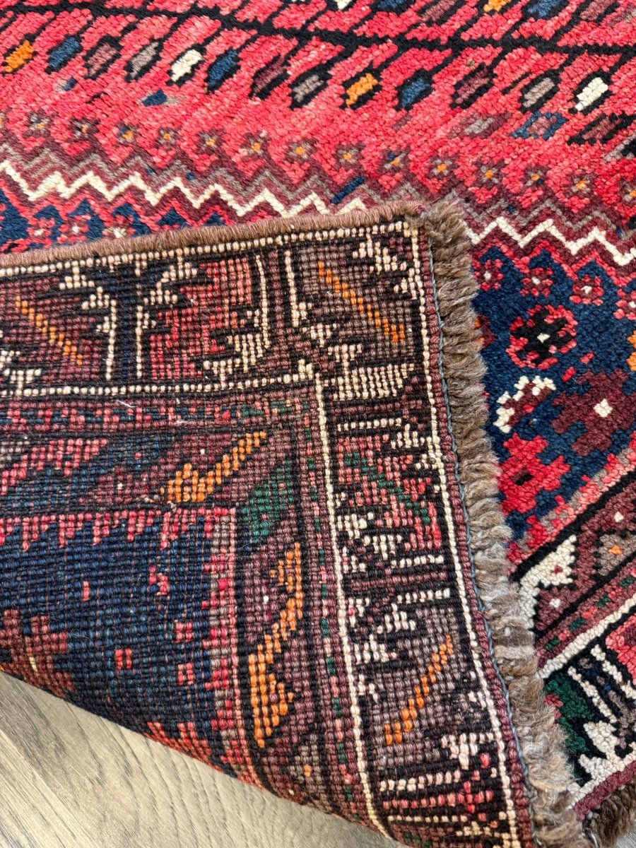 Persian Shiraz Rug | 6' 1