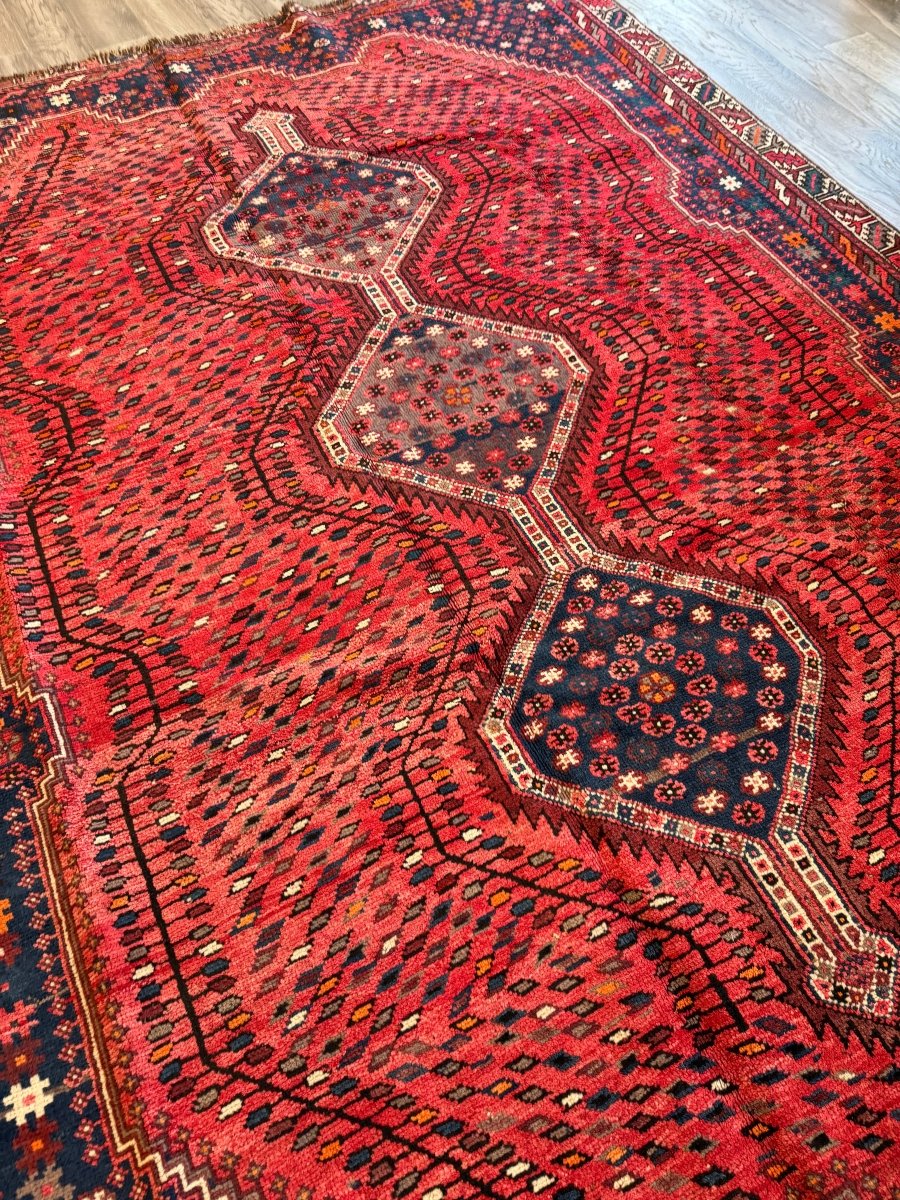 Persian Shiraz Rug | 6' 1