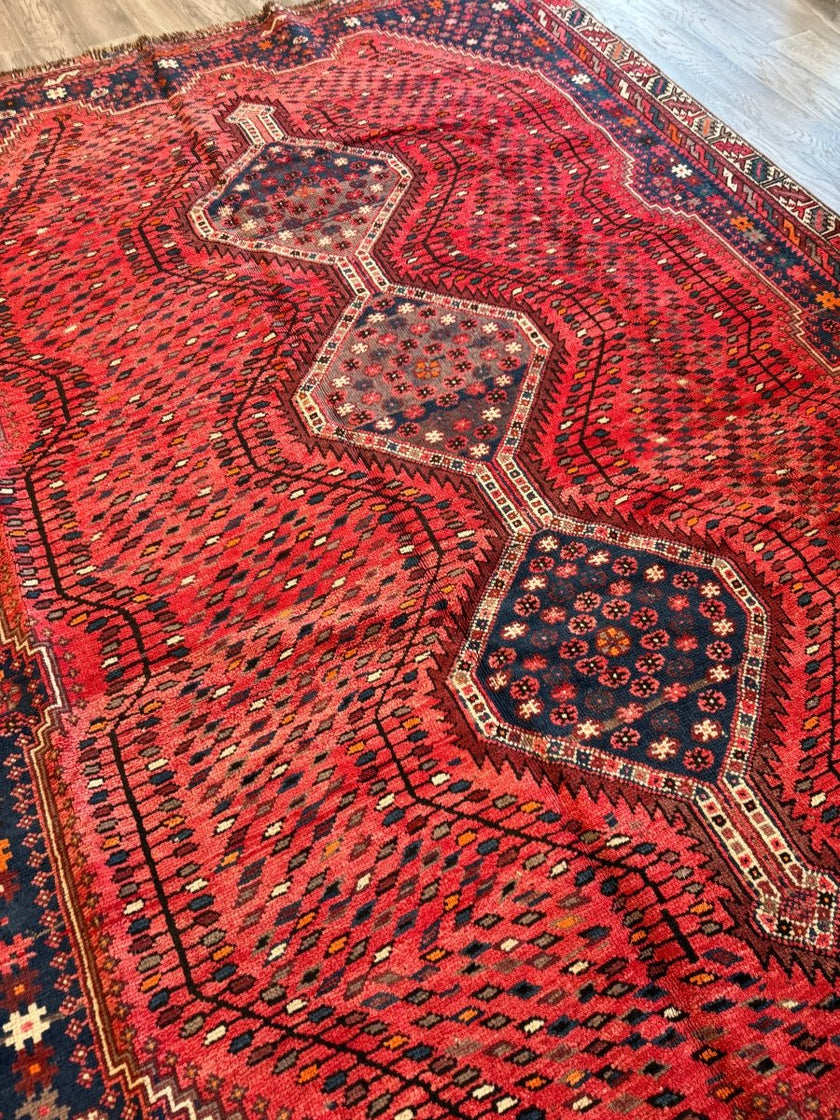 Persian Shiraz Rug | 6' 1