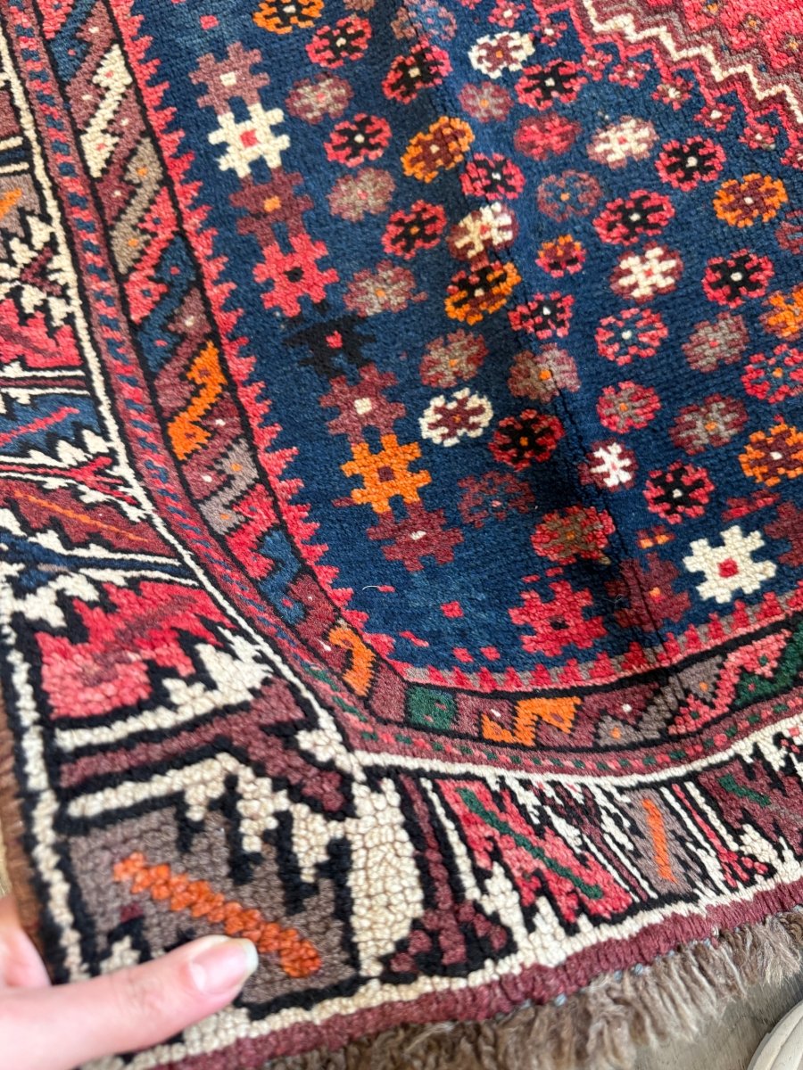 Persian Shiraz Rug | 6' 1