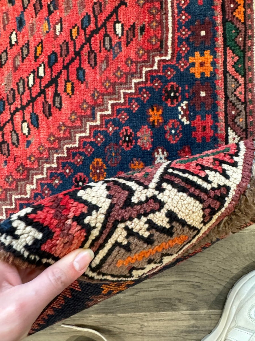 Persian Shiraz Rug | 6' 1