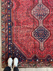 Persian Shiraz Rug | 6' 1