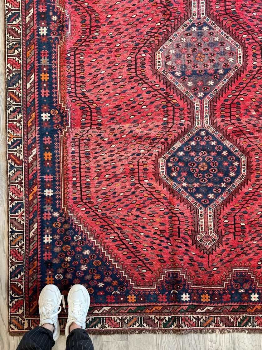 Persian Shiraz Rug | 6' 1