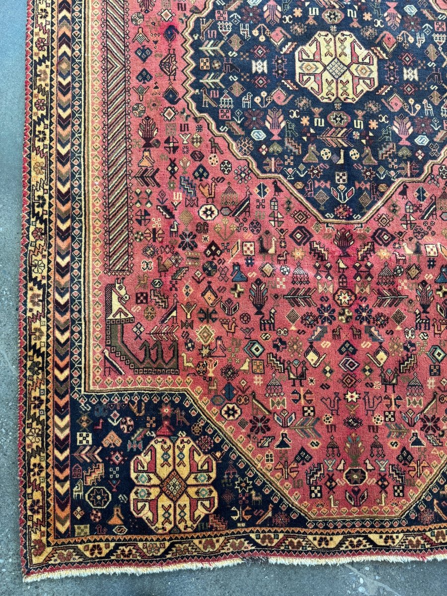 Persian Shiraz Rug | 6' 8