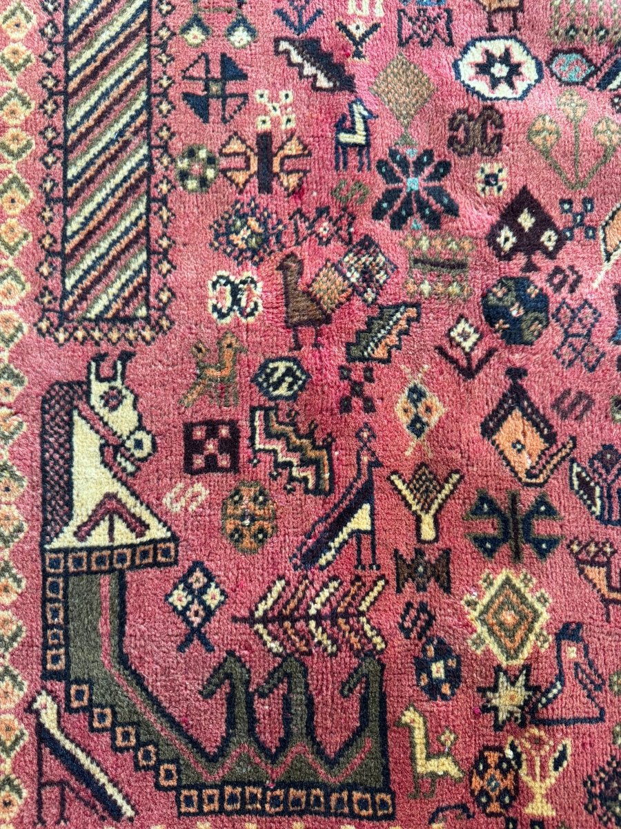 Persian Shiraz Rug | 6' 8