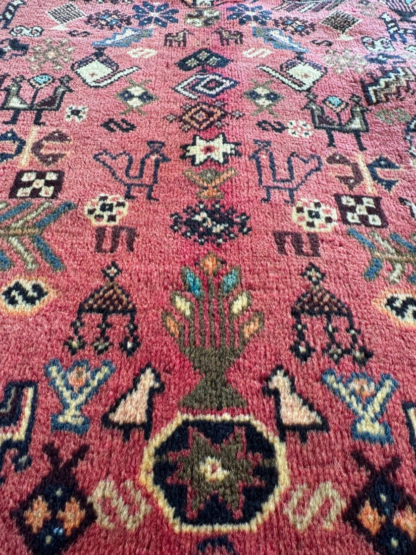 Persian Shiraz Rug | 6' 8