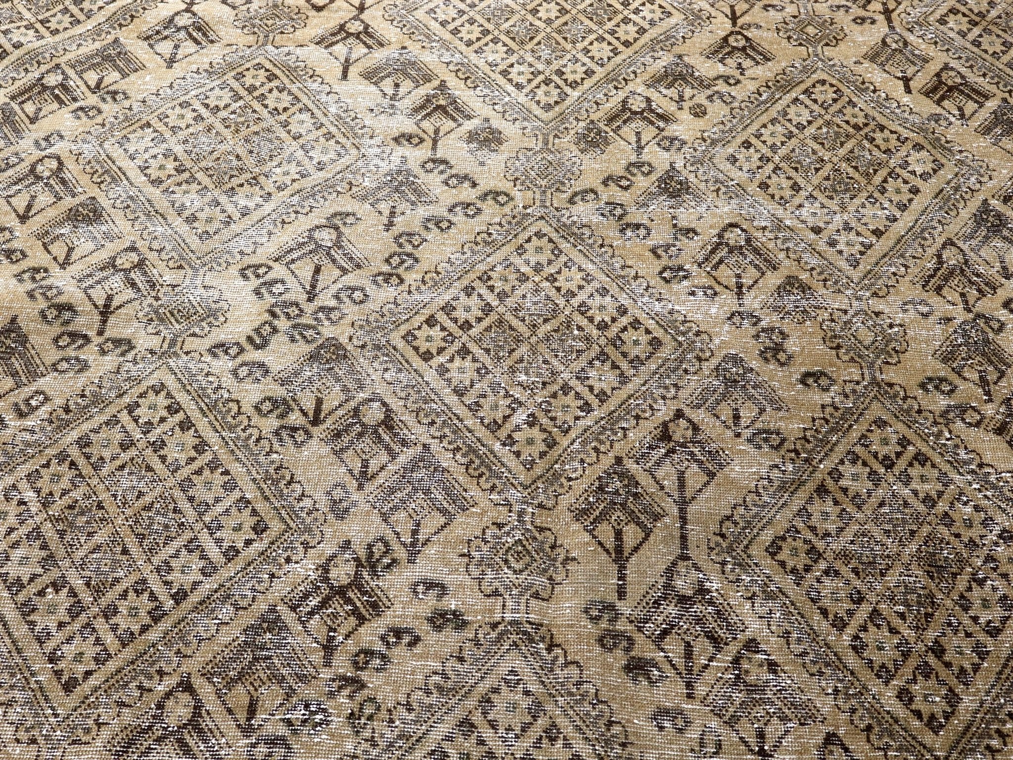 Persian Sirjan Rug | 6' 8” x 9' 11