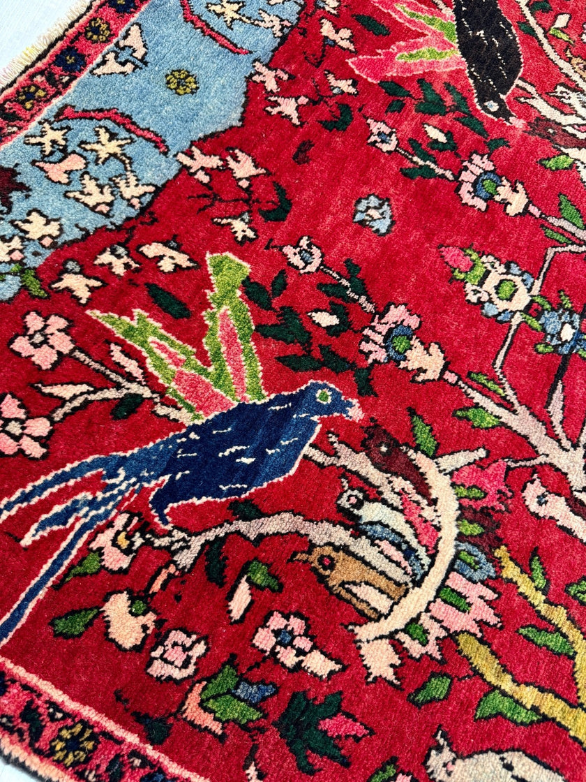 Persian Tabriz Rug | 3' 2” x 5' 11