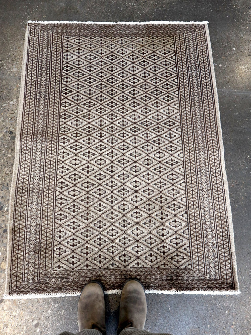 Persian Turkmen Rug | 3' 3