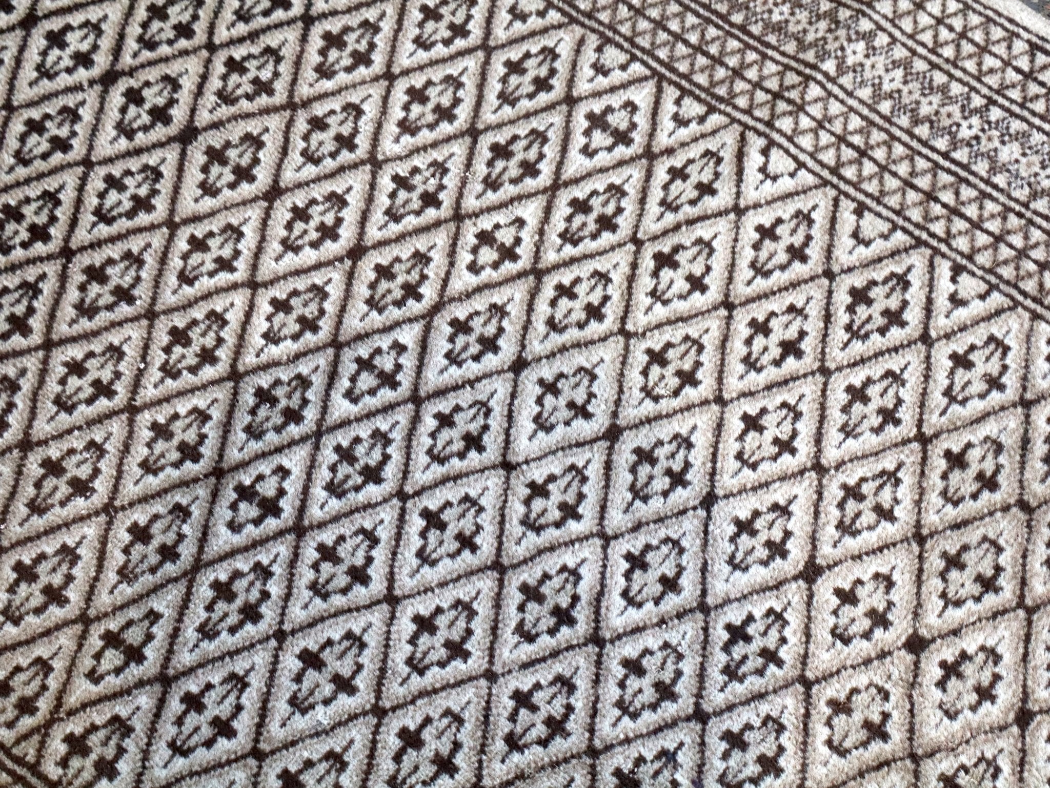 Persian Turkmen Rug | 3' 3