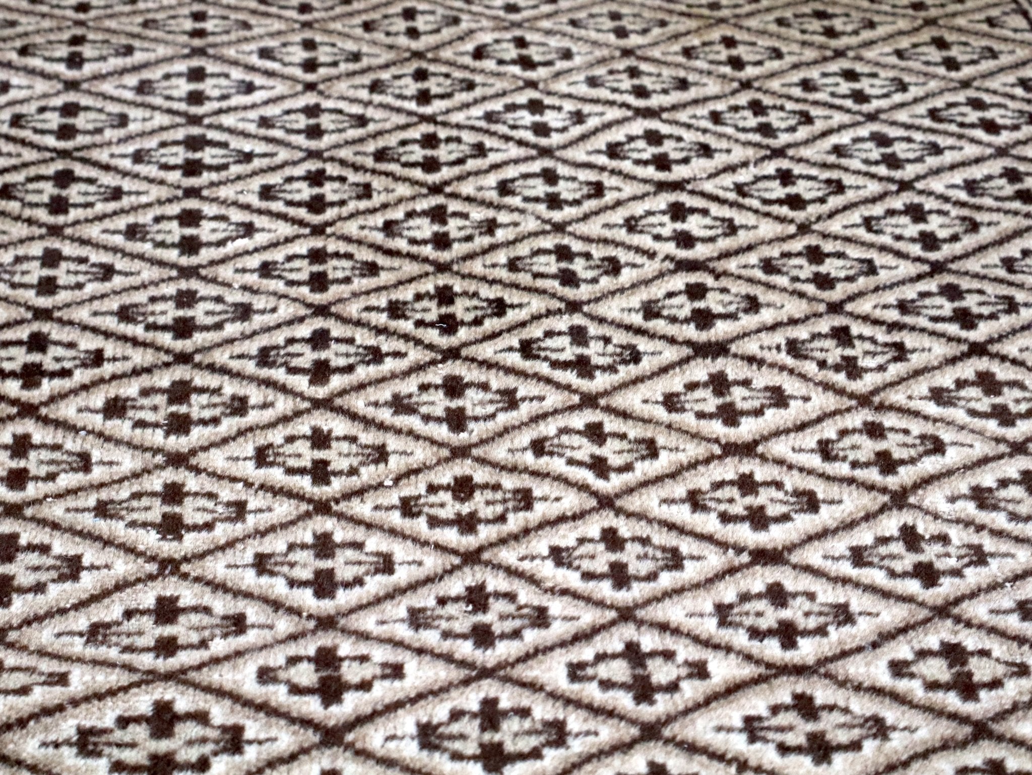 Persian Turkmen Rug | 3' 3