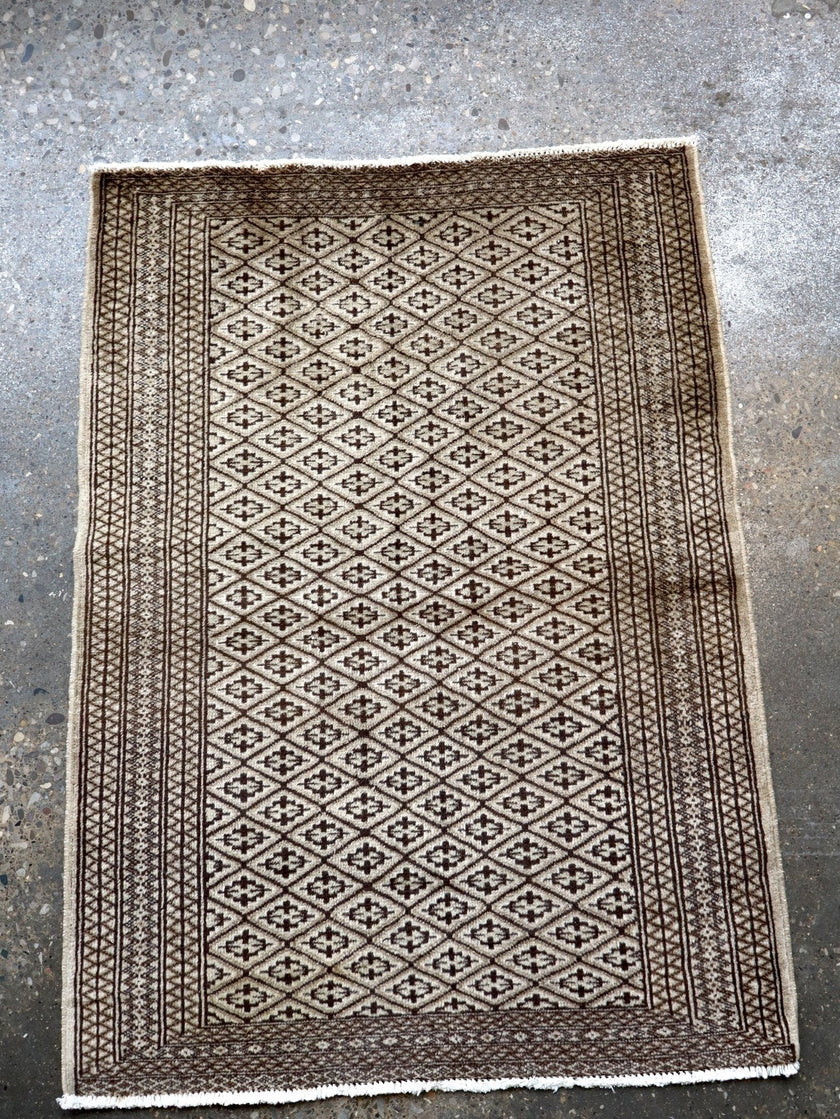 Persian Turkmen Rug | 3' 3