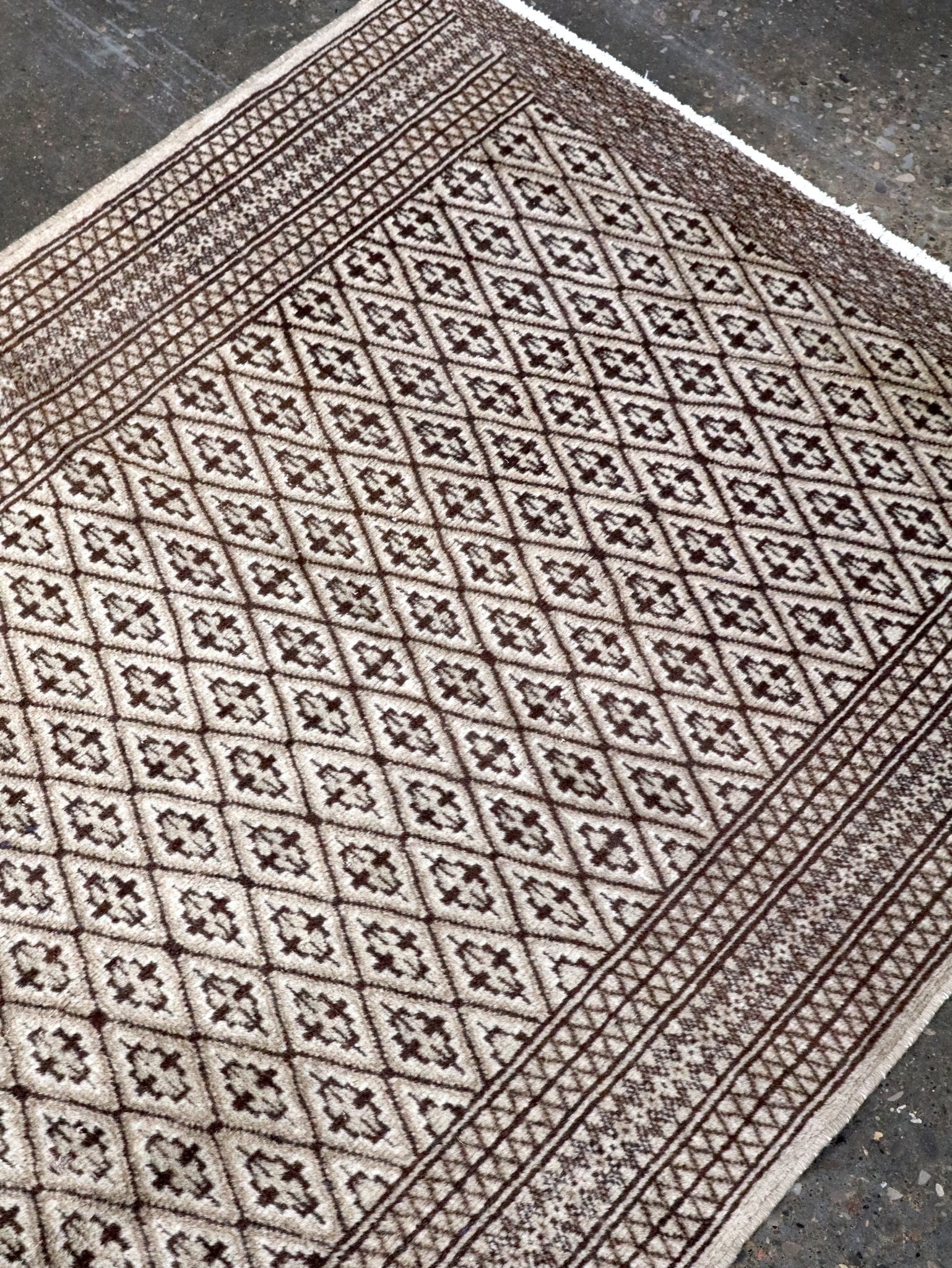 Persian Turkmen Rug | 3' 3