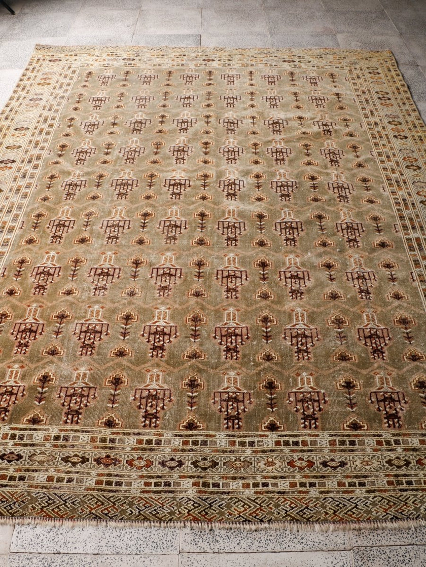 Persian Turkmen Rug | 6' 7” x 8' 4