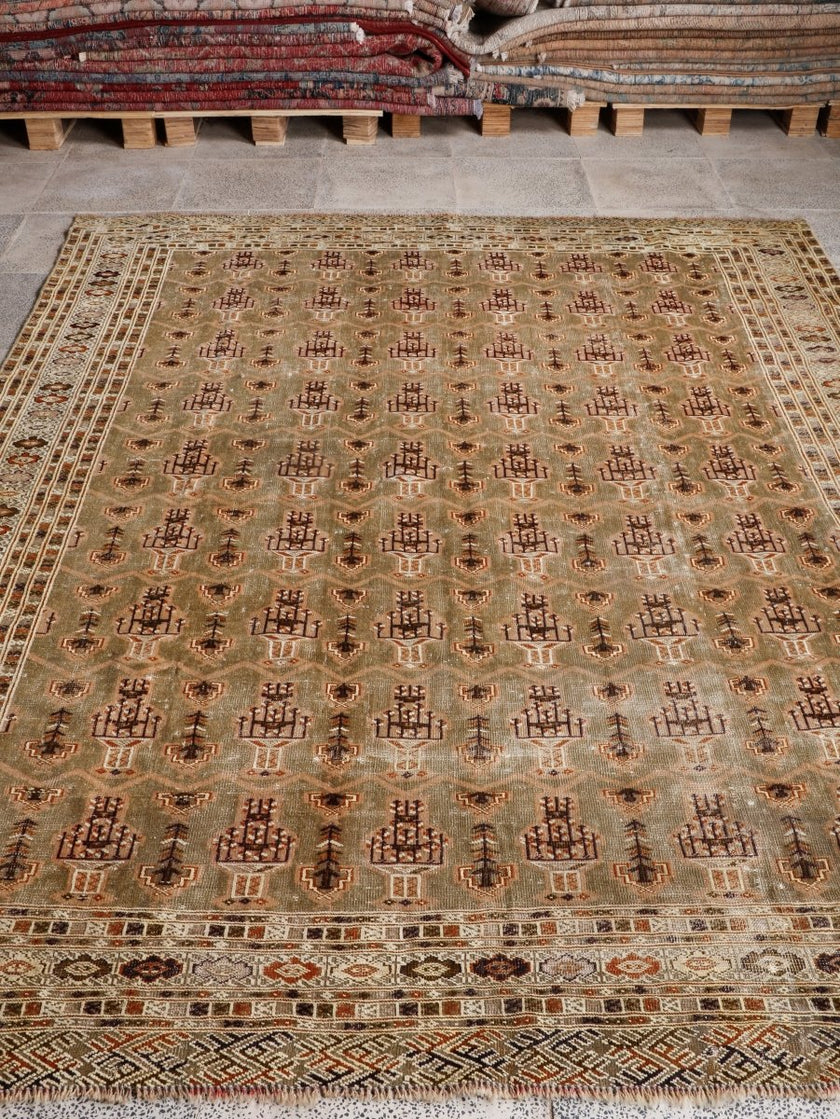 Persian Turkmen Rug | 6' 7” x 8' 4