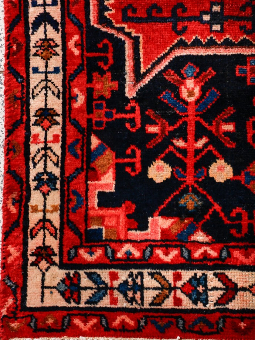 Persian Tuyserkan Rug | 3' 7” x 6' 9