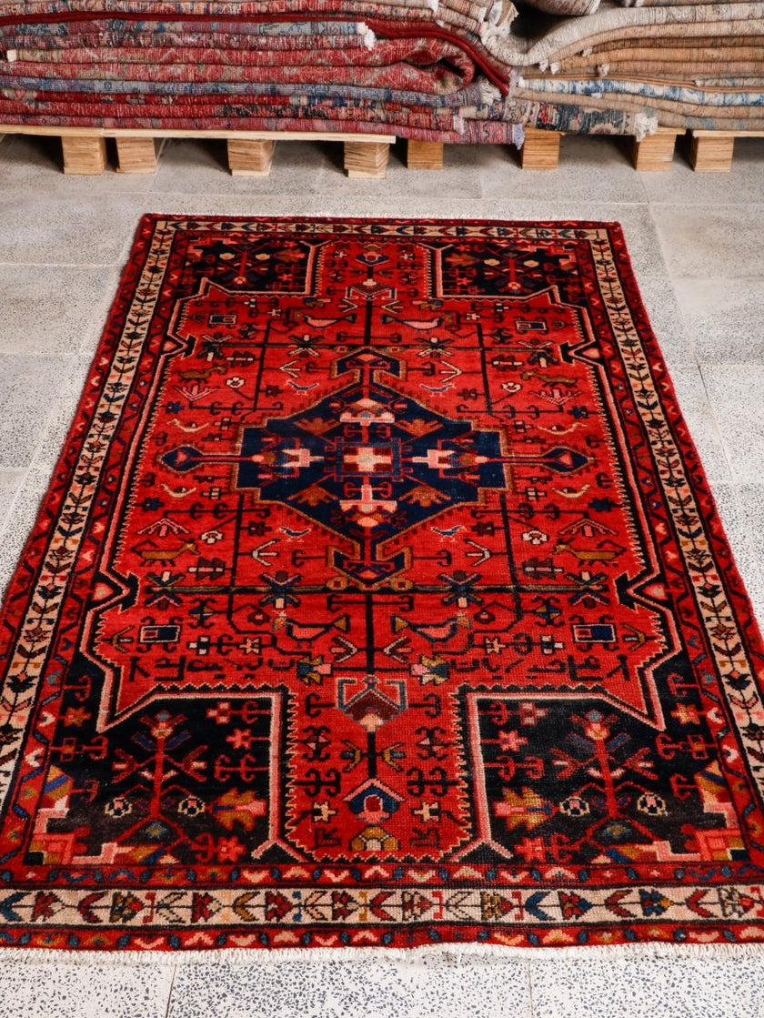 Persian Tuyserkan Rug | 3' 7” x 6' 9