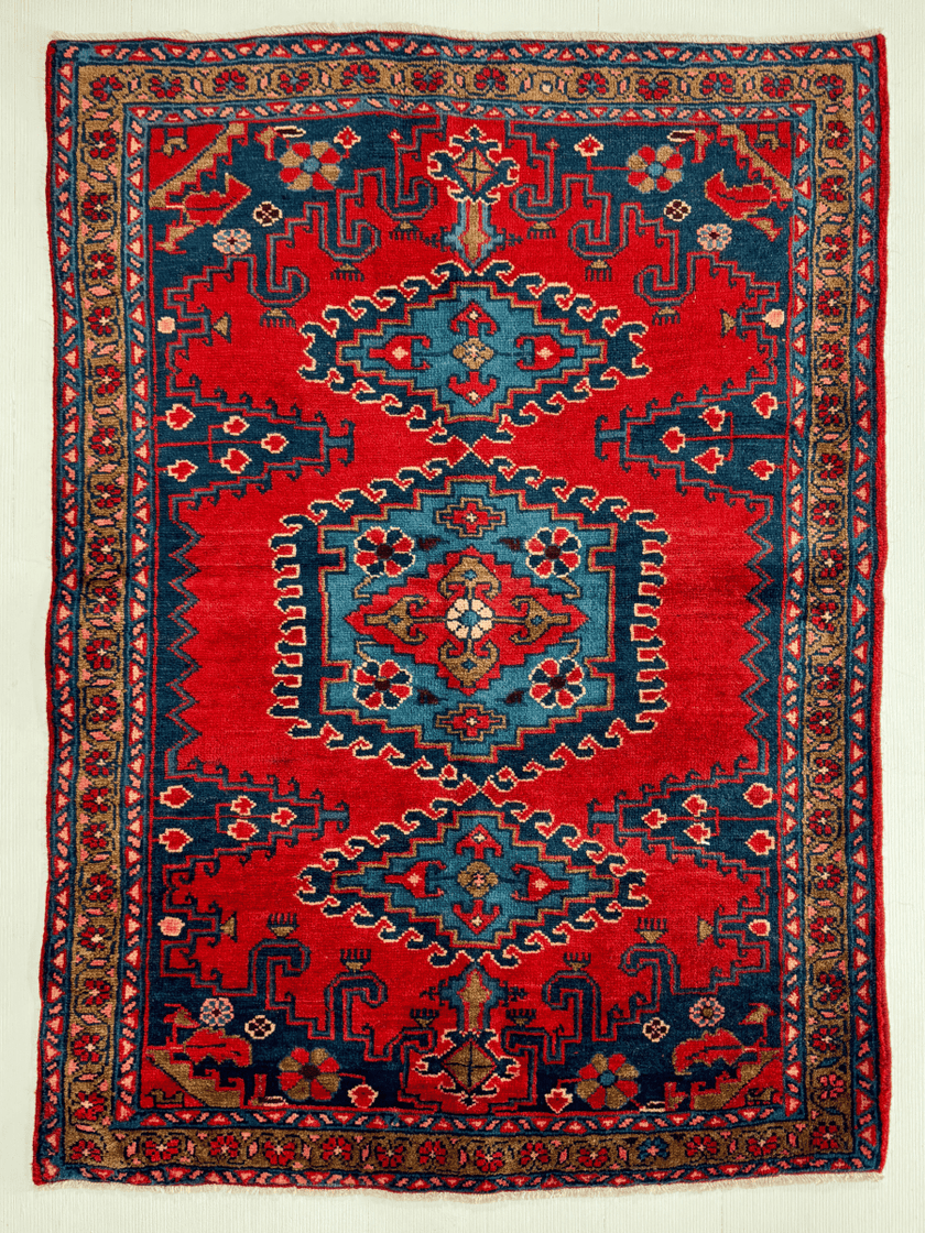 Persian Viss Rug | 3' 7” x 4' 11