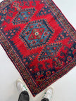 Persian Viss Rug | 3' 7” x 4' 11