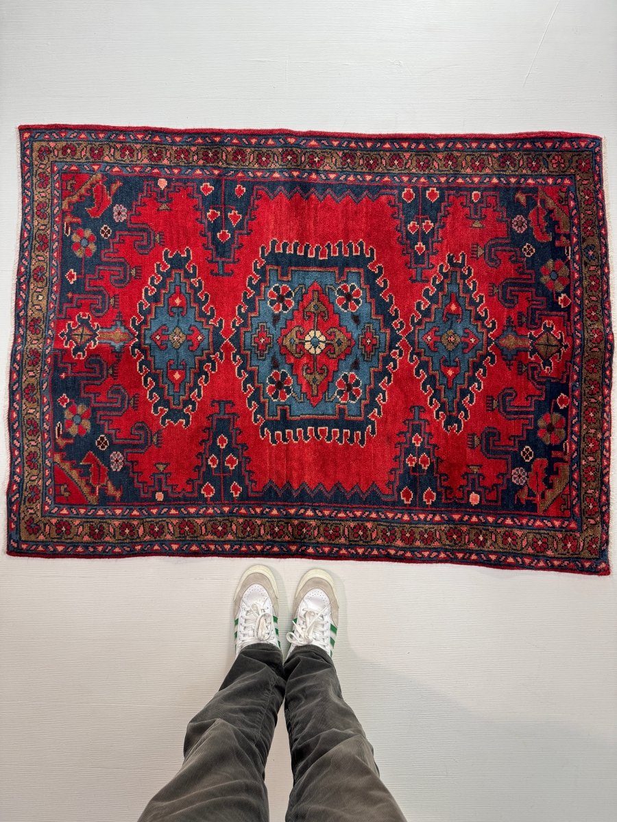 Persian Viss Rug | 3' 7” x 4' 11