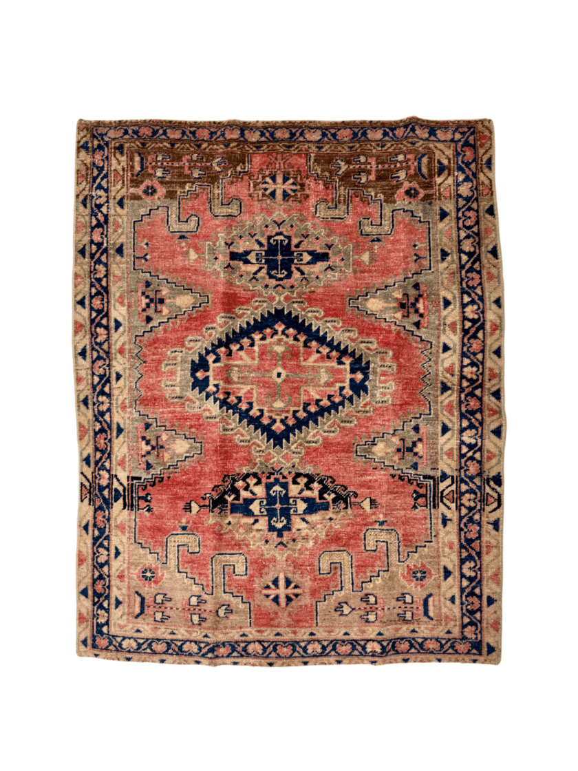Persian Viss Rug | 4’ x 5'