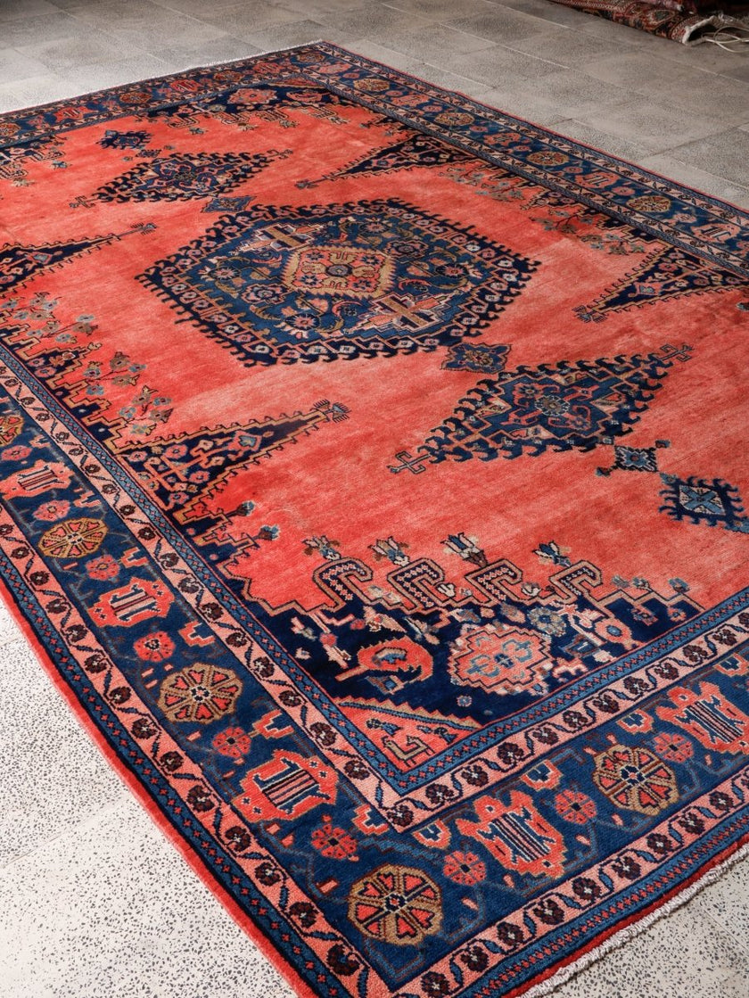 On hold | Persian Viss Rug | 7' 9” x 11' 6