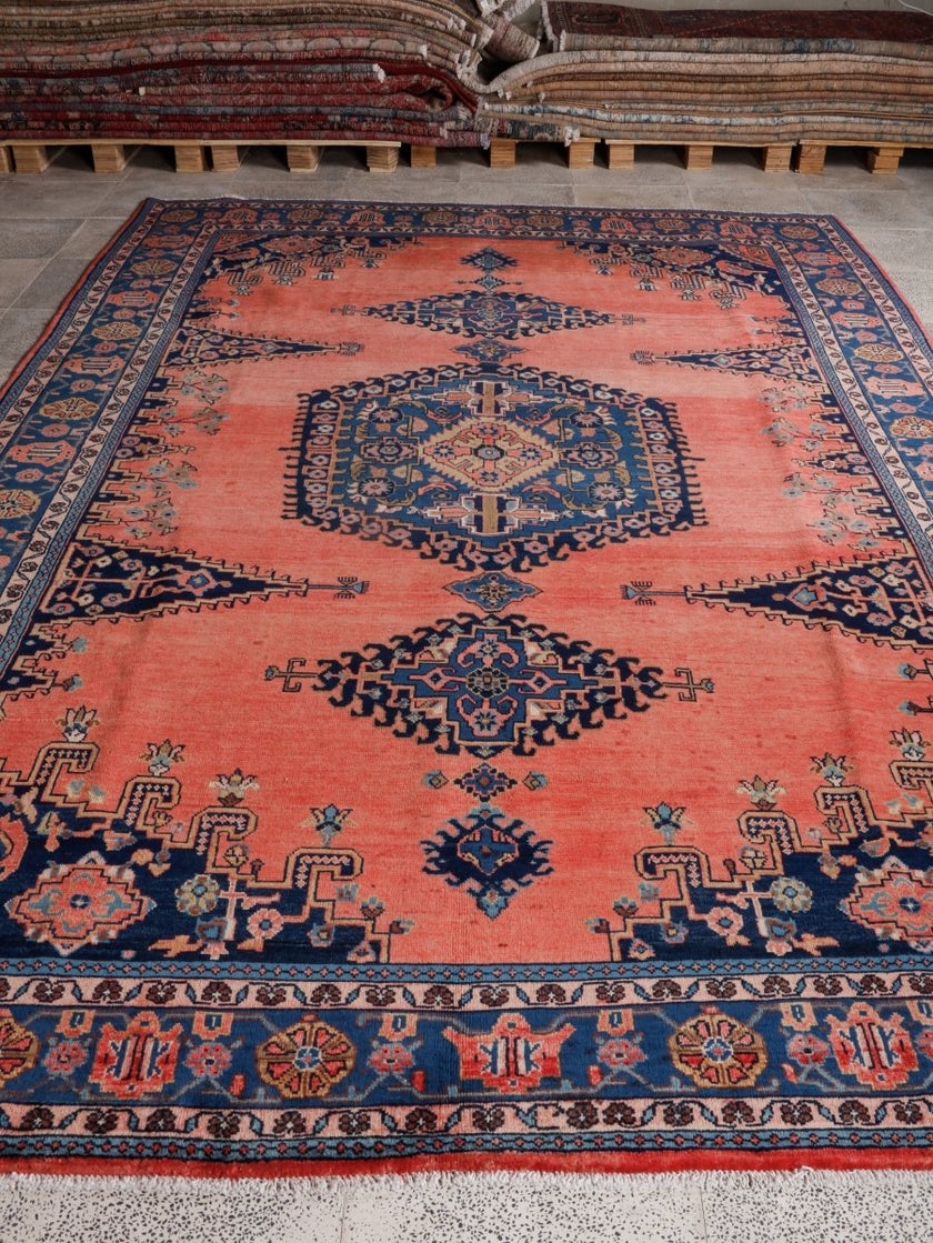 On hold | Persian Viss Rug | 7' 9” x 11' 6