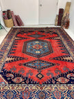 Persian Viss Rug | 9' 6” x 11' 11