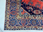 Persian Viss Rug | 9' 6” x 11' 11