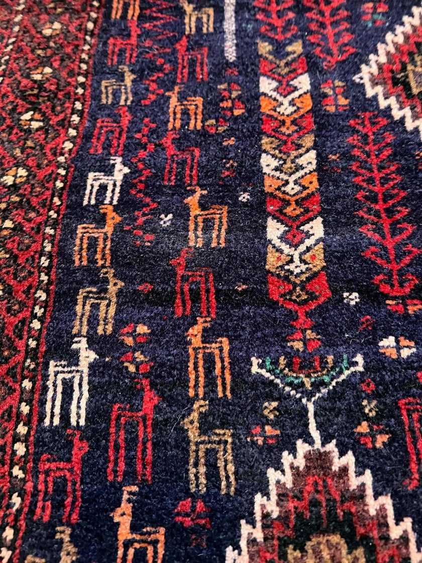 Persian Zabol Rug | 5' 3