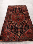 Persian Zanjan Rug | 3' 1” x 6' 5