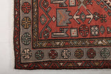 Persian Zanjan Rug | 4' 3