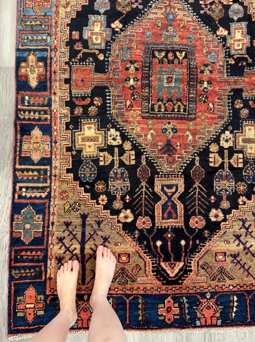 Persian Zanjan Rug | 4' x 6' 5