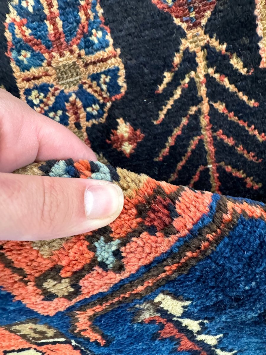 Persian Zanjan Rug | 4' x 6' 5