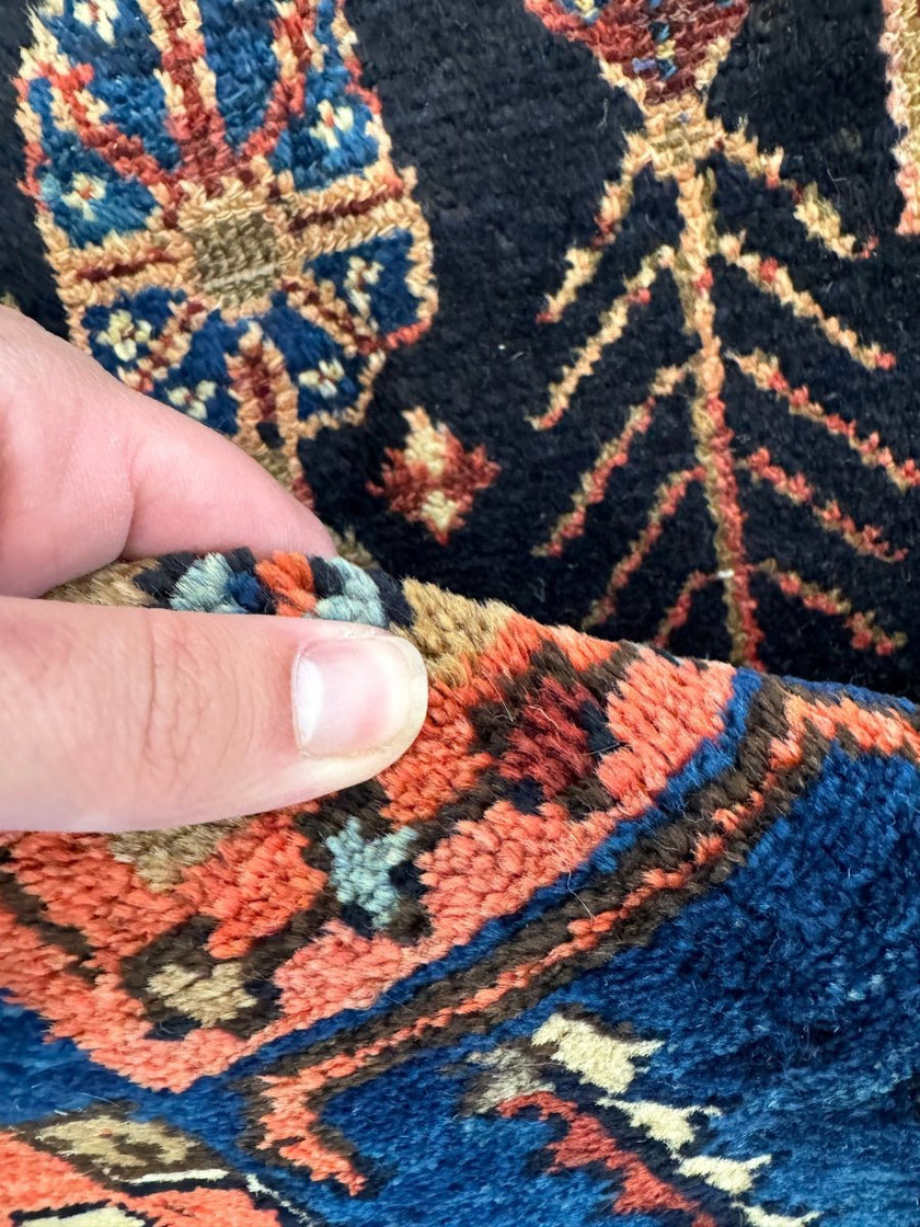 Persian Zanjan Rug | 4' x 6' 5