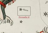 Personalizable Vintage Astrological Sign Print - Aquarius | Sidney Hall Art (available handframed or unframed)