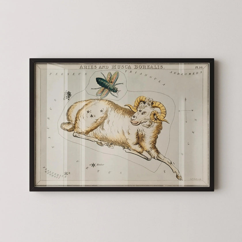Personalizable Vintage Astrological Sign Print - Aries | Sidney Hall Art (available handframed or unframed)