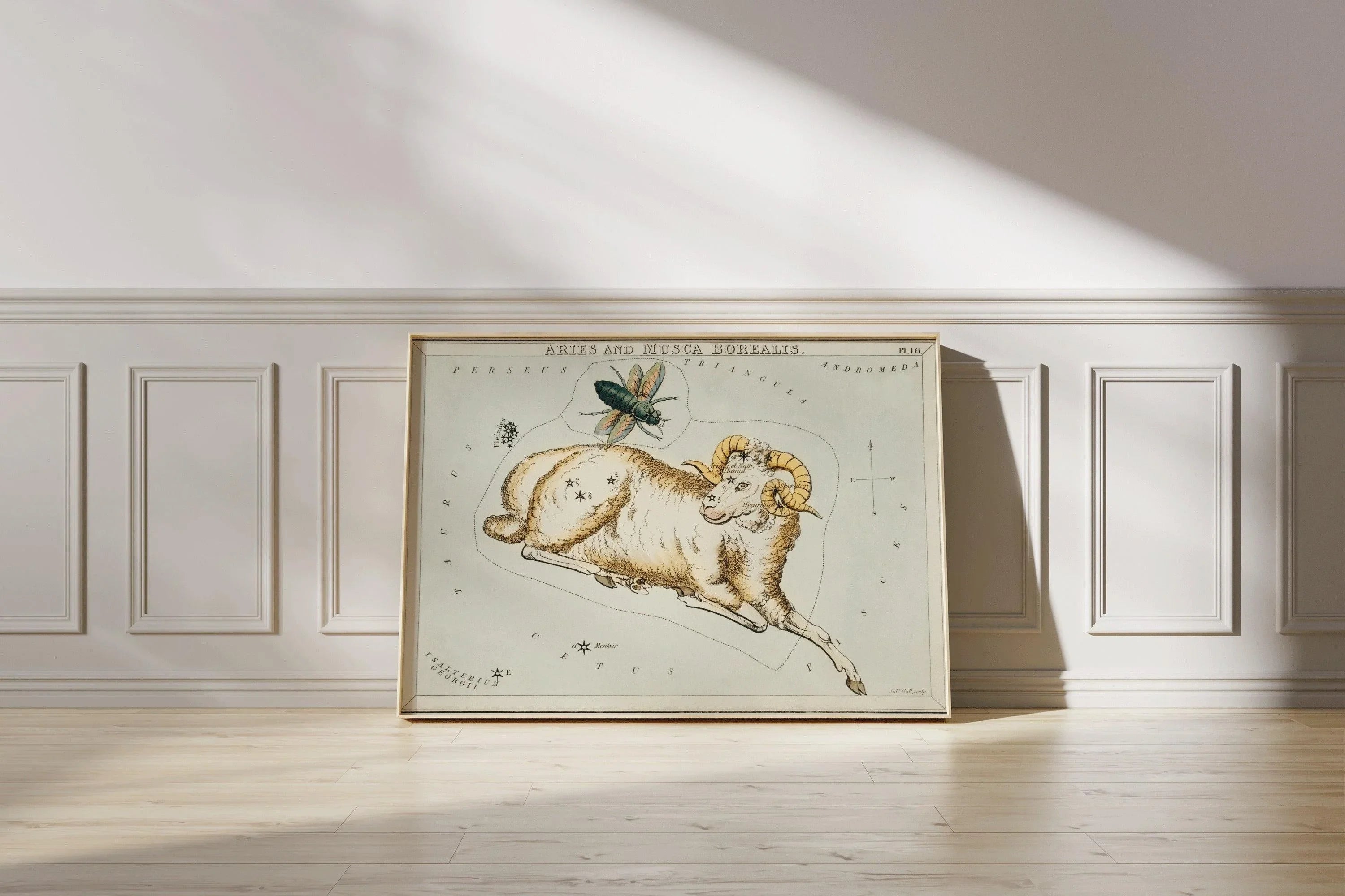 Personalizable Vintage Astrological Sign Print - Aries | Sidney Hall Art (available handframed or unframed)