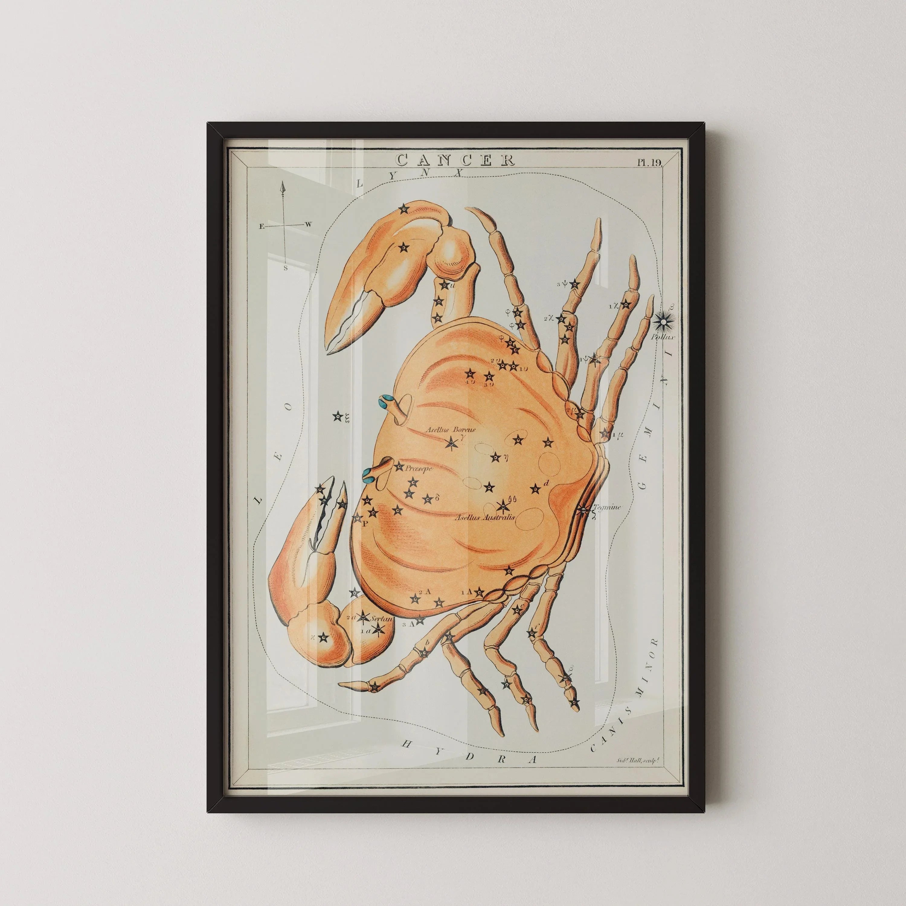 Personalizable Vintage Astrological Sign Print - Cancer | Sidney Hall Art (available handframed or unframed)