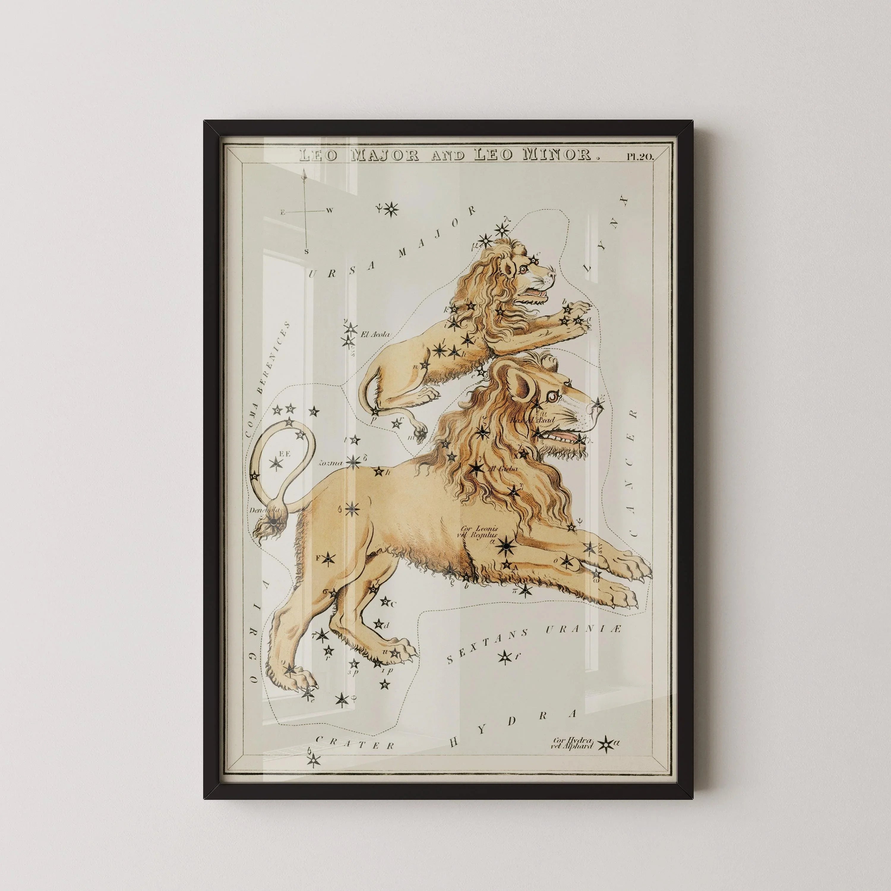 Personalizable Vintage Astrological Sign Print - Leo | Sidney Hall Art (available handframed or unframed)