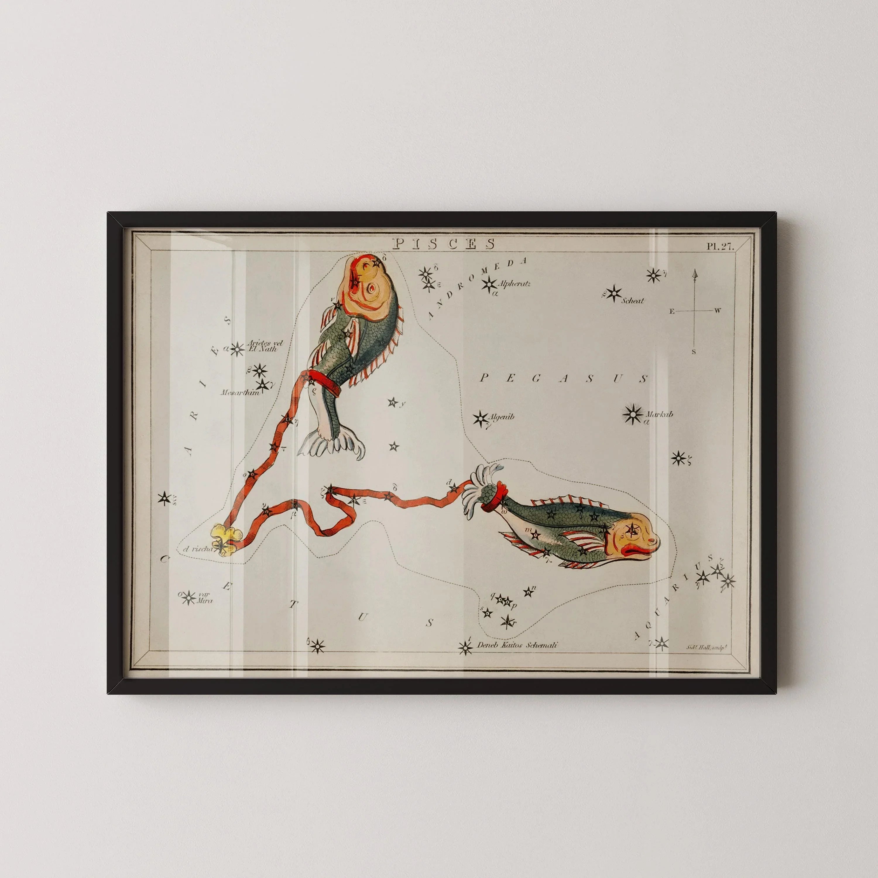 Personalizable Vintage Astrological Sign Print - Pisces | Sidney Hall Art (available handframed or unframed)