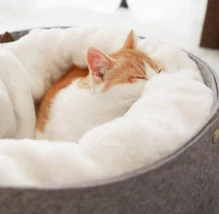 Cozy Enclosed Pet Bed – Windproof Removable Nest for Cats & Dogs (S/M)