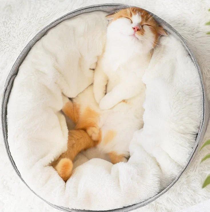 Cozy Enclosed Pet Bed – Windproof Removable Nest for Cats & Dogs (S/M)