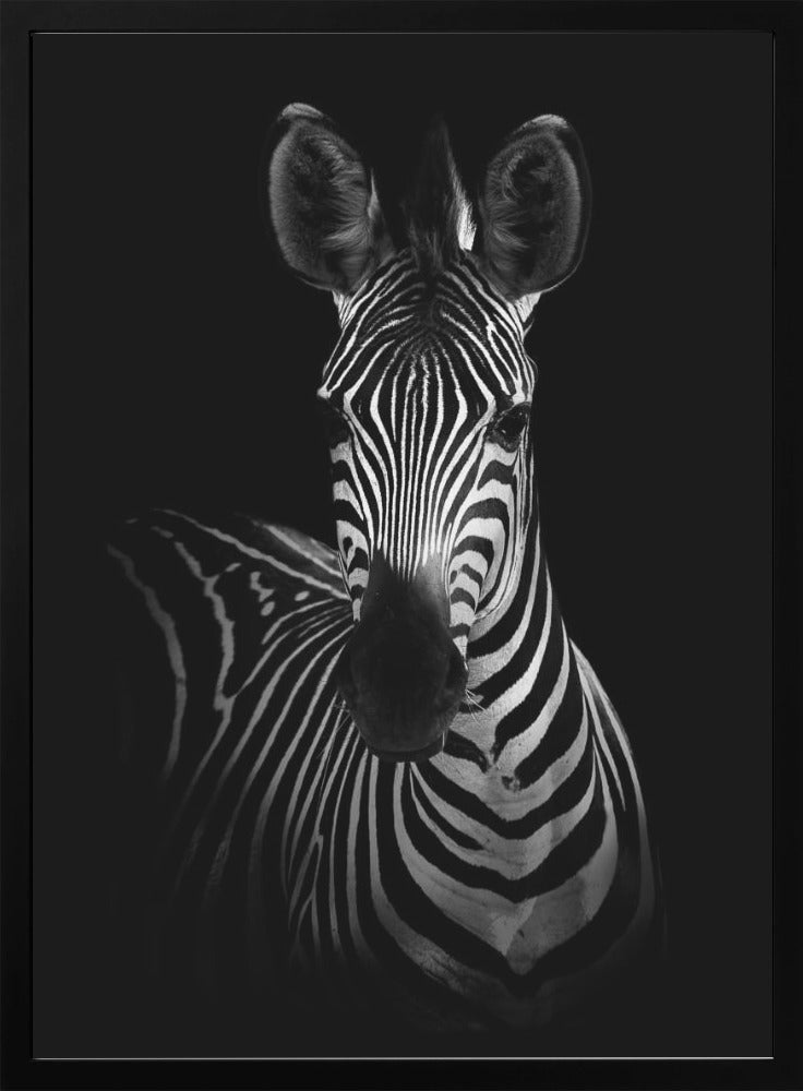 Wall Art The Zebra