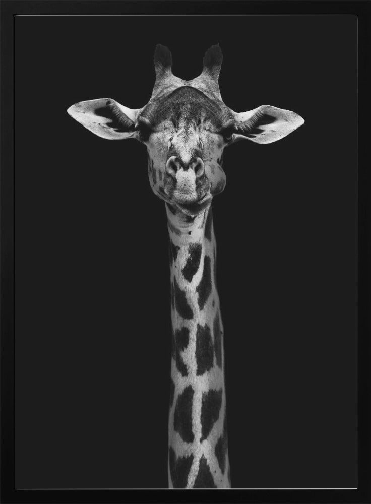 Portrait de girafe pour décoration murale